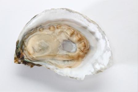 Buy Fresh Anderson's Neck Oysters Online