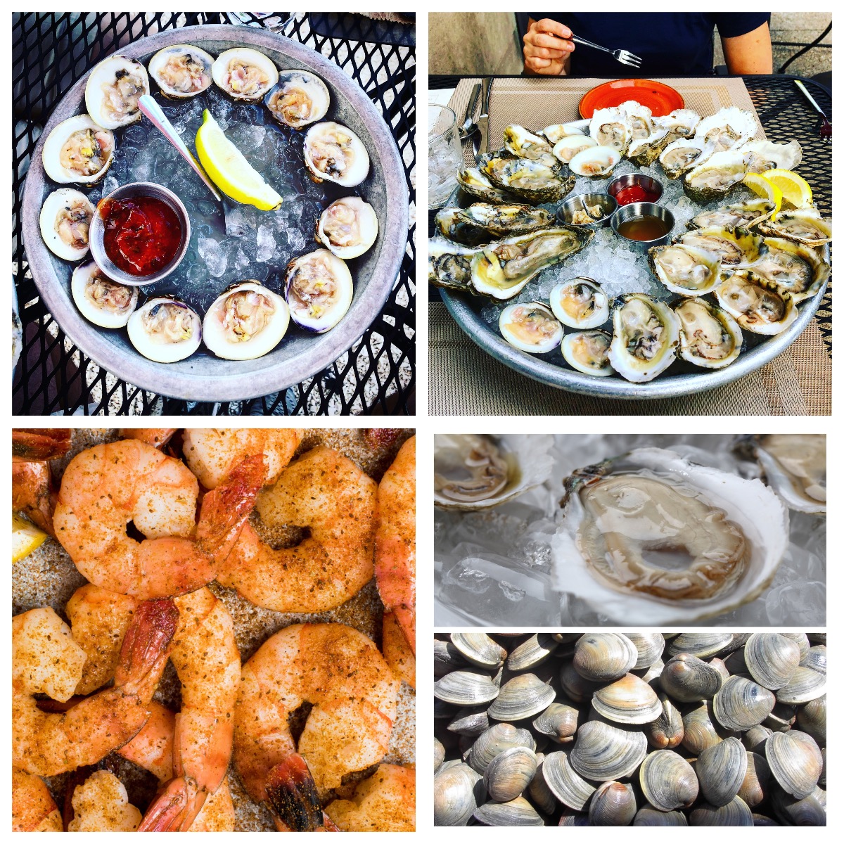 25 Fresh Maine Oysters For Sale Online - Oysters Shipped - Maine Oyster  Company