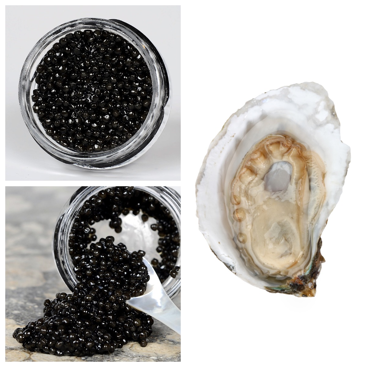 Buy fresh oysters online from Loch Fyne - the finest oysters from Scotland